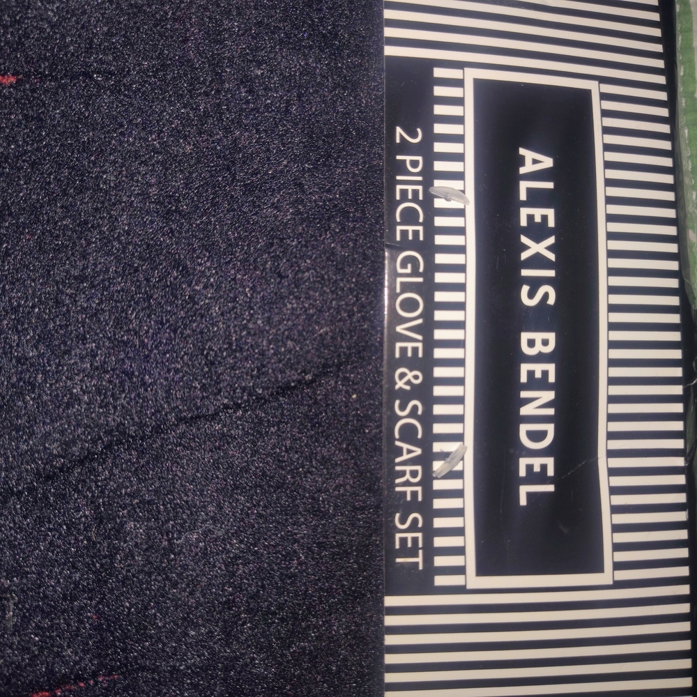 Alexis Bendel Black Gloves & Mittens Set